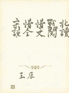 宋惜惜战北望小说全文阅读