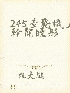 245章飞机上干关晓彤