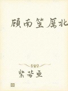 顾南笙厉北城
