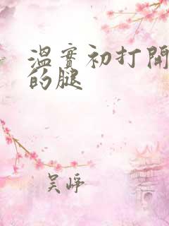 温实初打开眉庄的腿