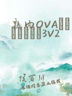熟肉OVAちゃんはしたい3V2