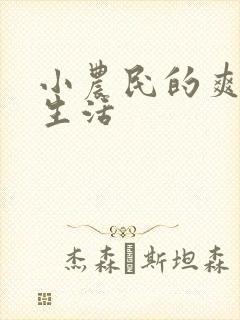 小农民的爽歪歪生活