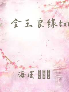 金玉良缘txt