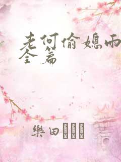 老何偷媳雨嫌儿全篇