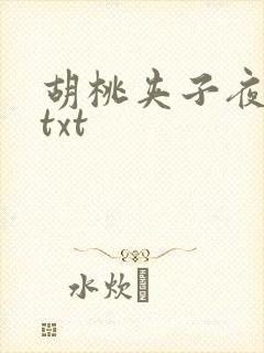 胡桃夹子夜未眠txt