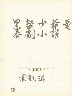 黑帮少爷爱上我泰剧小说