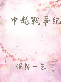 中越战争纪实录