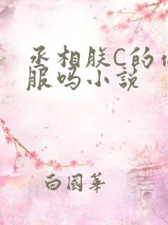 丞相朕C的你舒服吗小说