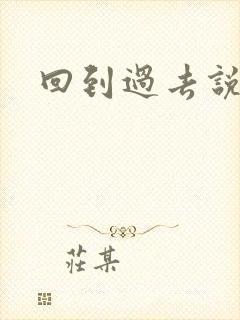 回到过去说爱你