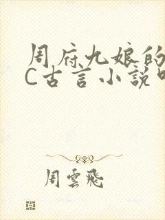 周府九娘的NPC古言小说叫什么