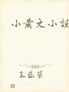 小黄文小说