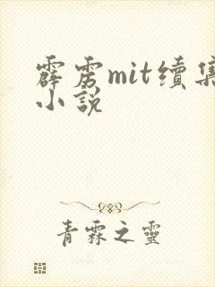 霹雳mit续集小说