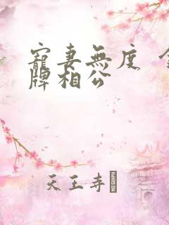 宠妻无度  金牌相公