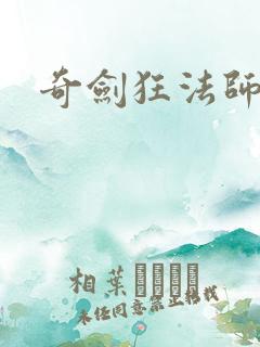 奇剑狂法师下载