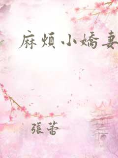 麻烦小娇妻