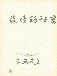 苏晴的秘密小说