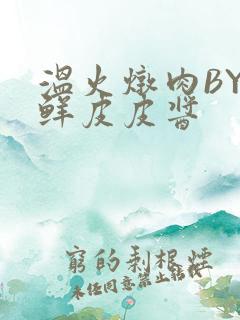 温火炖肉BY海鲜皮皮酱