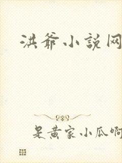 洪爷小说网