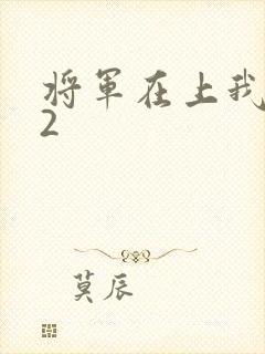 将军在上我在下2
