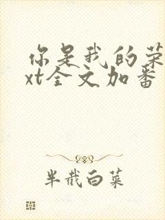 你是我的荣耀txt全文加番外