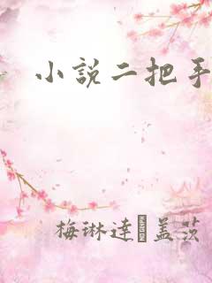 小说二把手