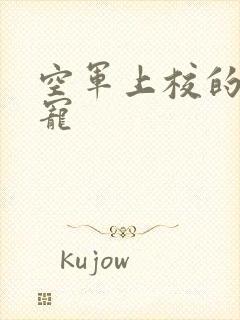 空军上校的邪魅宠