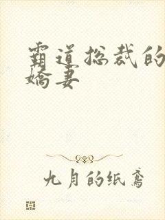 霸道总裁的甜心娇妻