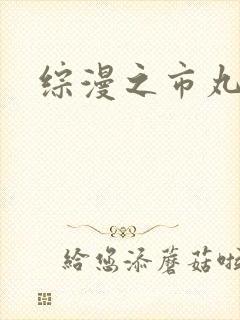 综漫之市丸银