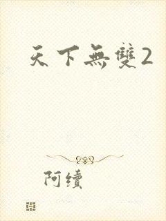 天下无双2