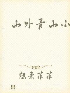 山外青山小说