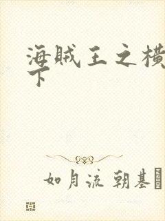 海贼王之横行天下