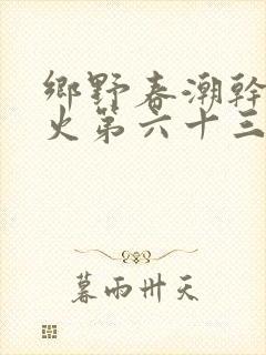 乡野春潮干柴烈火第六十三章