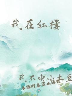 我在红楼