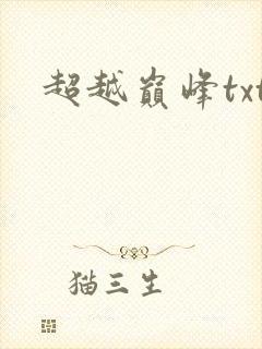 超越巅峰txt