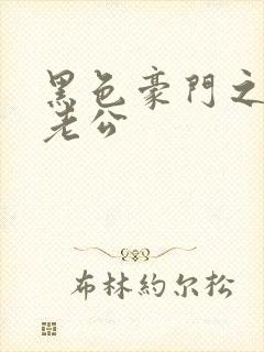 黑色豪门之王子老公