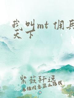 我叫mt 佣兵天下