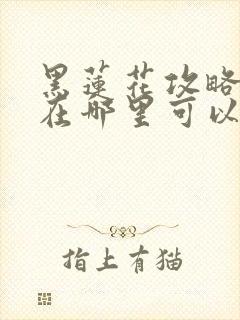 黑莲花攻略手册在哪里可以免费阅读