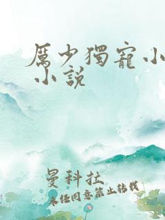 厉少独宠小娇妻 小说