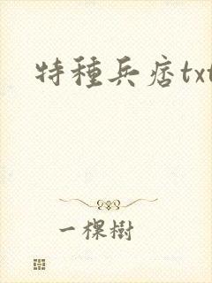 特种兵痞txt