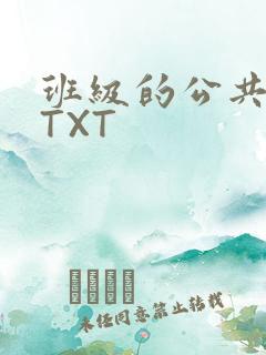 班级的公共玩具TXT