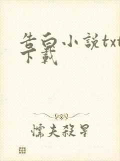 告白小说txt下载