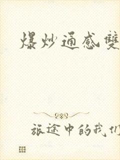 爆炒通感双胞胎