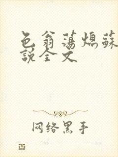 色翁荡熄苏钥小说全文