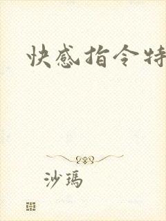 快感指令特别篇