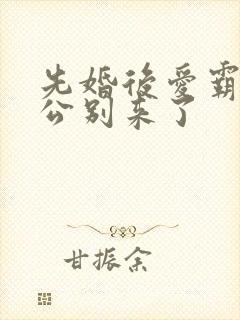 先婚后爱霸道老公别来了