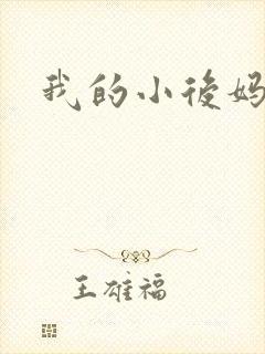 我的小后妈小说