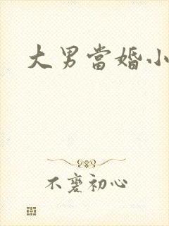 大男当婚小说