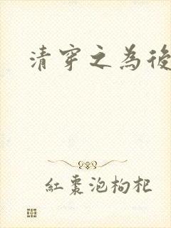 清穿之为后