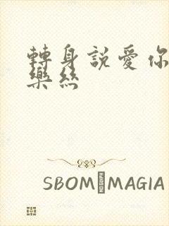 转身说爱你 白乐丝