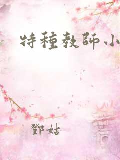 特种教师小说